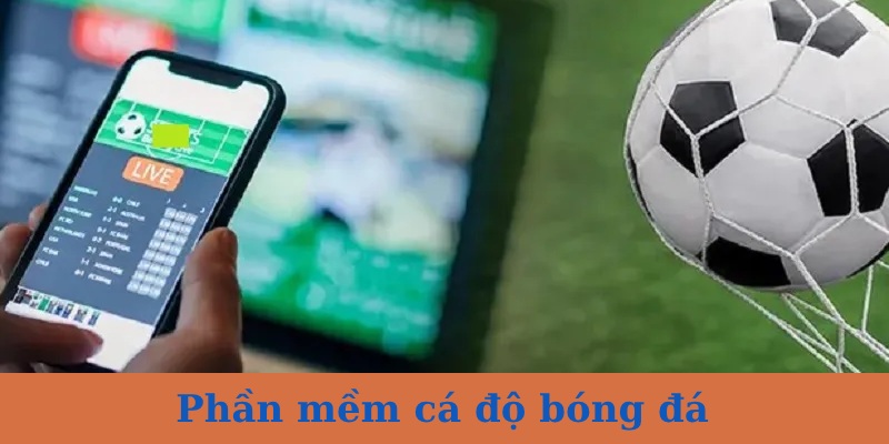 Top 3+ phần mềm cá độ bóng đá trực tuyến tốt nhất 2025